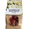 White valley – Tulpenbollen 20 stuks