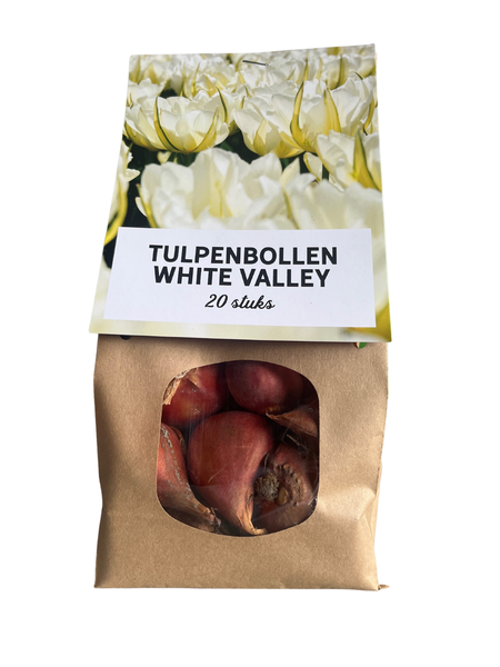 White valley – Tulpenbollen 20 stuks