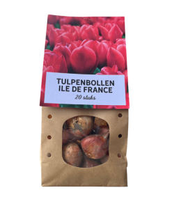 Ile de france – Tulpenbollen 20 stuks