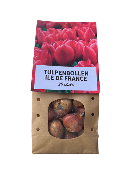 Ile de france – Tulpenbollen 20 stuks