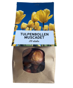 Muscadet – Tulpenbollen 20 stuks