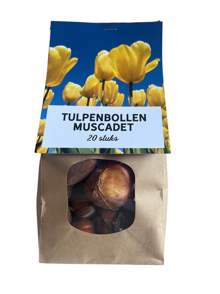 Muscadet – Tulpenbollen 20 stuks