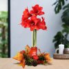 No Water Flowers® (wax amaryllis) | Wreath Autumn – Red flower