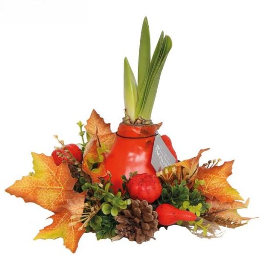 No Water Flowers® (wax amaryllis) | Wreath Autumn - Red flower – Bild 3