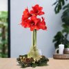 No Water Flowers® (wax amaryllis) | Wreath Christmas – Gold + Red flower