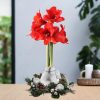 No Water Flowers® (wax amaryllis) | Wreath Christmas – Silver + Red flower