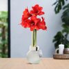 No Water Flowers® (wax amaryllis) | Fashionz Cozy Fluffy – White + Red flower