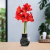 No Water Flowers® (wax amaryllis) | Fashionz Animal – Zebra + Red flower