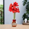 No Water Flowers® (wax amaryllis) | Fashionz Halloween – Orange + Red flower