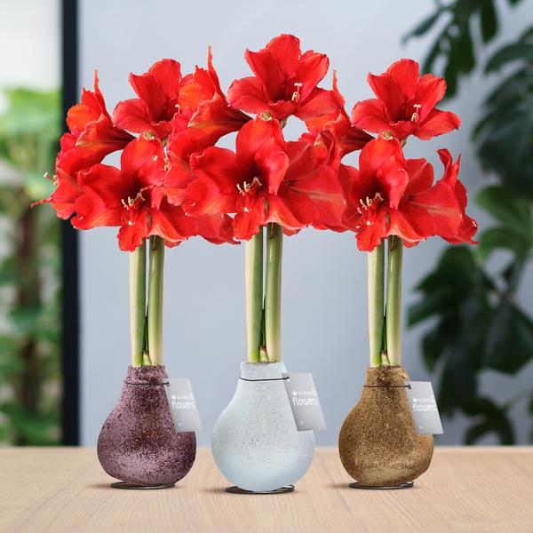 No Water Flowers® (wax amaryllis) | Glitterz® Charm Mix (3 pack) + Red flower