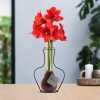 No Water Flowers® (wax amaryllis) | Formz Classic – Bordeaux + Red flower