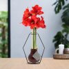 No Water Flowers® (wax amaryllis) | Formz Modern – Bordeaux + Red flower