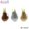 No Water Flowers Waxz Metallic Gold / Silver / Copper – 3 Stücke – Ø7 cm – ↕15 cm