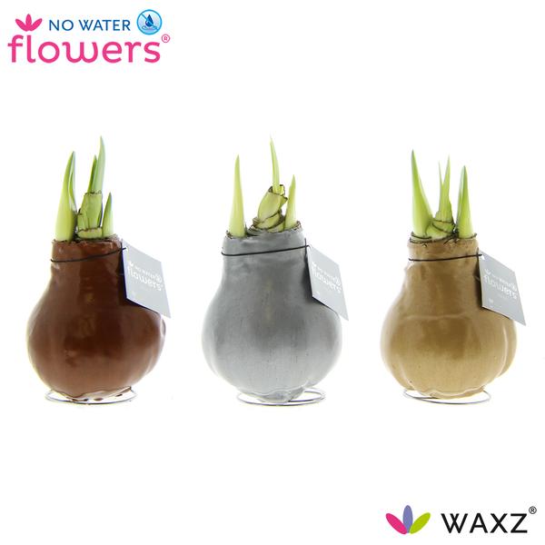 No Water Flowers Waxz Metallic Gold / Silver / Copper – 3 Stücke – Ø7 cm – ↕15 cm