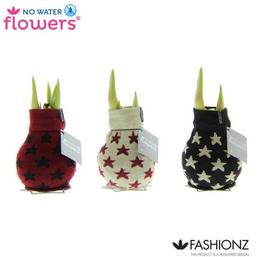 No Water Flowers Fashionz Patternz Star - 3 Stücke - Ø7 cm - ↕15 cm