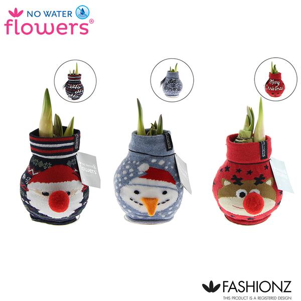 No Water Flowers Fashionz Xmas – 3 Stücke – Ø7 cm – ↕15 cm