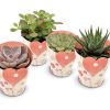 Succulents in Heart Cover – 4 Stücke – Ø8,5cm – ↕11cm