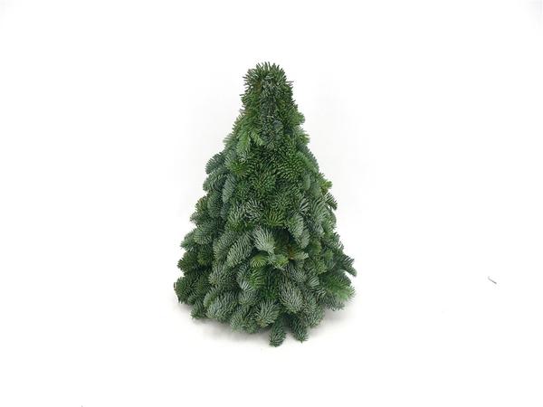 Nobilis-Weihnachtsbaum – ↕40cm