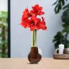 No Water Flowers® (wax amaryllis) | Waxz® Metallic – Copper + Red flower