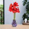 No Water Flowers® (wax amaryllis) | Waxz® Art Monet – Pastel Purple + Red flower