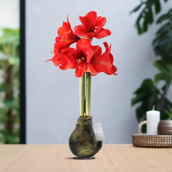 No Water Flowers® (wax amaryllis) | Waxz® Antiquez – Gold + Red flower