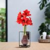 No Water Flowers® (wax amaryllis) | Formz Industrial – Bordeaux + Red flower