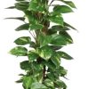 Epipremnum Aureum Mosstok – Ø19cm – ↕80cm + Erik Pot D20x18cm – Dunkelgrün