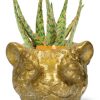 Aloe Hybride – Ø10,5cm – ↕15cm + Planter Luipaard D12x9,5cm – Gold