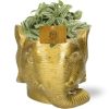 Tradescantia Tenderness – Ø10,5cm – ↕10cm + Planter Olifant D11/12x10cm – Gold