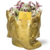 Tradescantia Sweetness – Ø10,5cm – ↕10cm + Planter Olifant D11/12x10cm – Gold