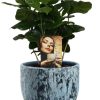 Coffea Arabica – Ø12cm – ↕25cm + Sem Pot D14x13cm – Blau