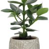 Clusia Rosea Princess – Ø12cm – ↕15cm + Stone Leaf Bolpot D12/13,5x11cm – Grau