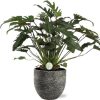 Philodendron Xanadu – Ø21cm – ↕65cm + Tim Pot D24x22cm – Schwarz Weiß