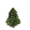 Nobilis-Weihnachtsbaum – ↕30cm