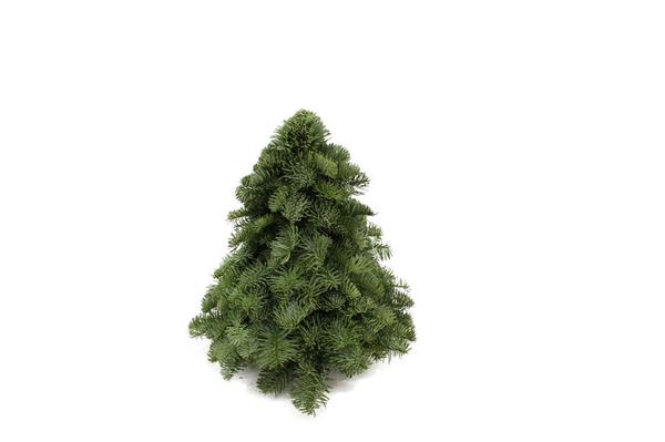 Nobilis-Weihnachtsbaum – ↕30cm