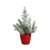 Pinus Pinea ‚Silver Crest‘ + Snow – Ø17cm – ↕50cm + Pot Basic D18x15cm – Rot