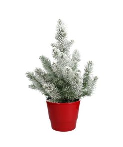 Pinus Pinea ‚Silver Crest‘ + Snow – Ø17cm – ↕50cm + Pot Basic D18x15cm – Rot