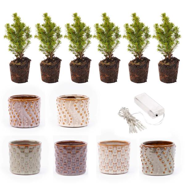 Mini-kerstboom set 6 – Inclusief pot set Madrid + 20 led lights