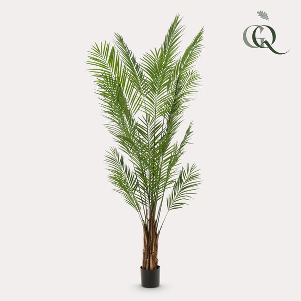 Kunstplanten – Areca Lutescens – Goudpalm – 240cm