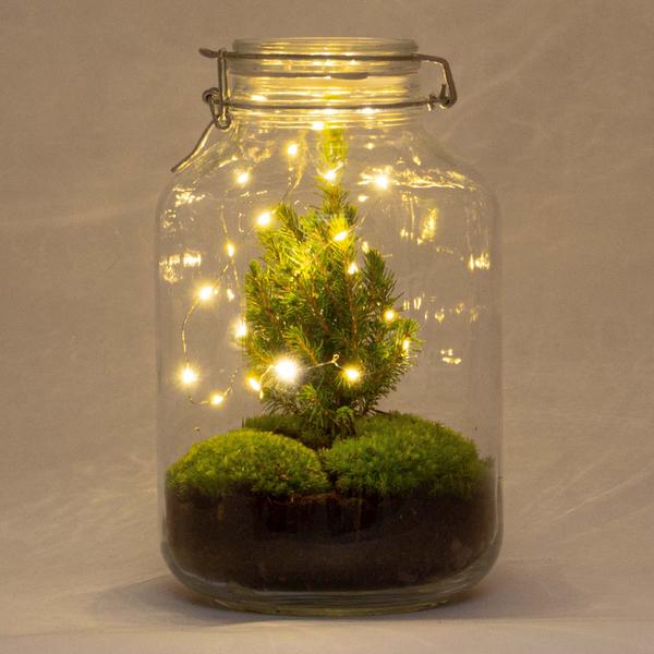 DIY Flaschengarten – Jar Christma – ↕ 28 cm