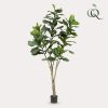 Kunstplant – Ficus Lyrara – Tabaksplant – 210cm