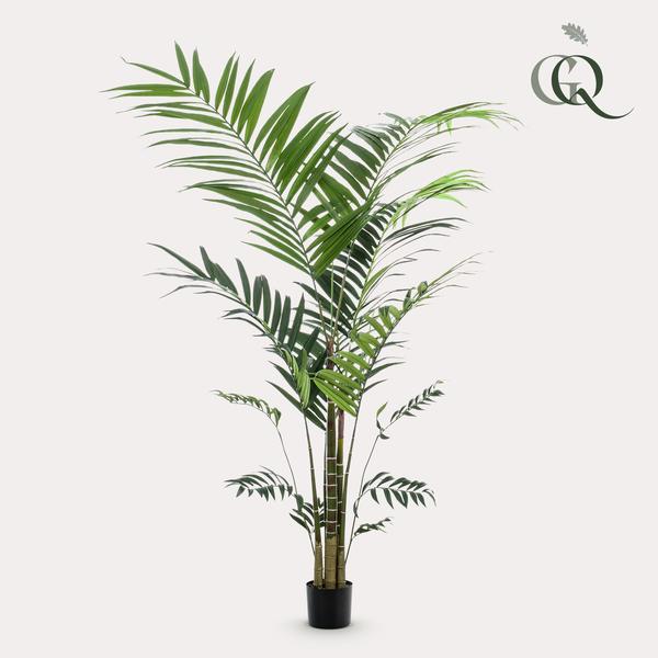 Kunstplant – Kentia -Kentiapalm – 210cm