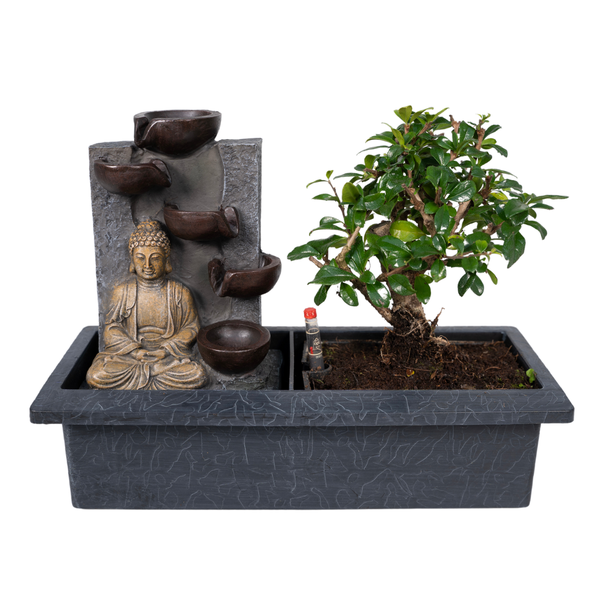 Bonsai Waterval (budha) – Ø15cm – ↕30cm