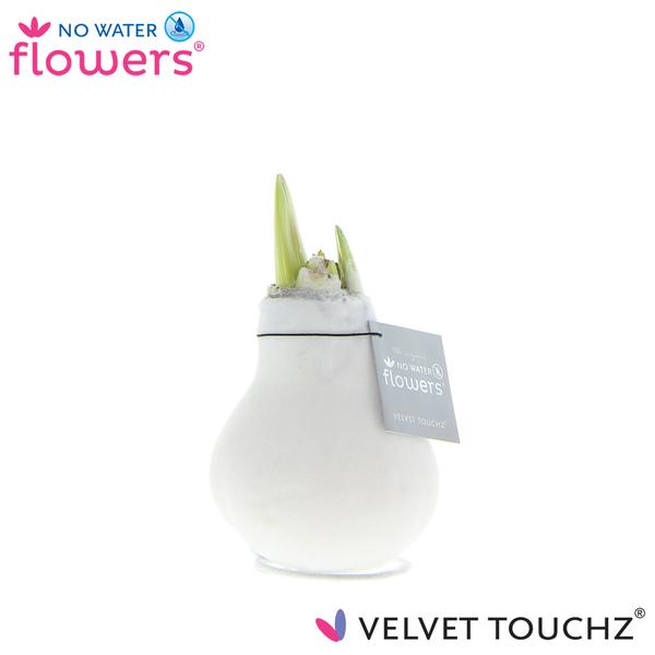 No Water Flowers Velvet Touchz® White – ↕15cm