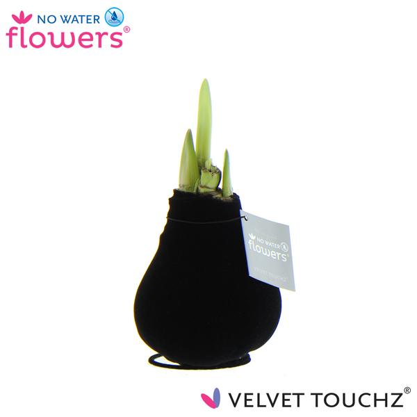 No Water Flowers Velvet Touchz® Black – ↕15cm