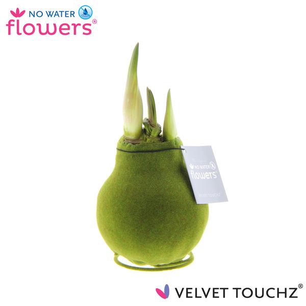 No Water Flowers Velvet Touchz® Moss Green – ↕15cm