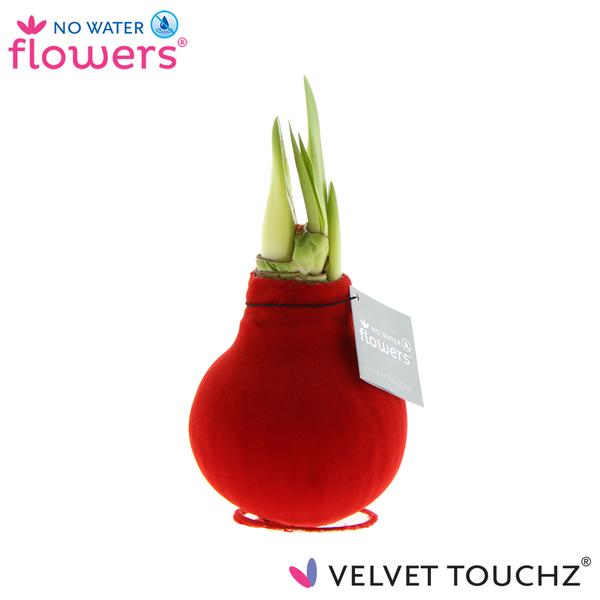 No Water Flowers Velvet Touchz® Red – ↕15cm