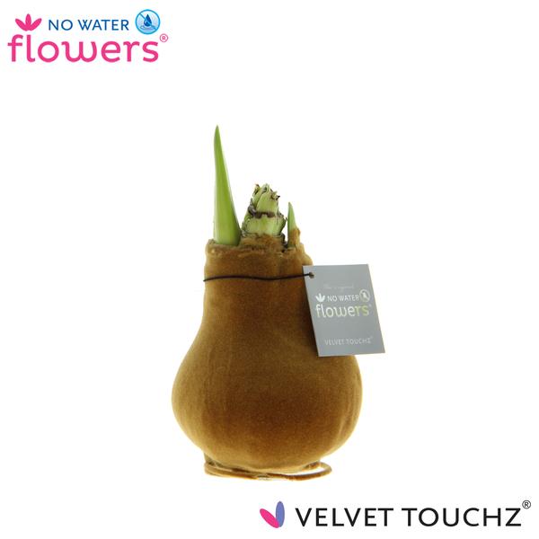 No Water Flowers Velvet Touchz® Copper – ↕15cm