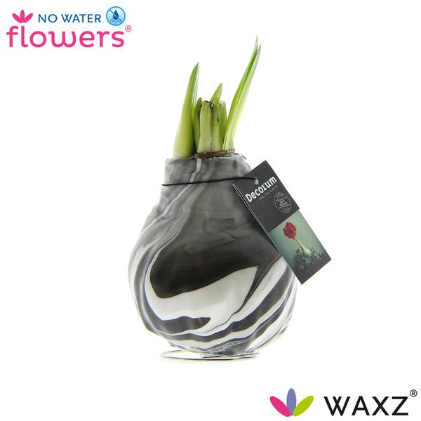 No Water Flowers Waxz® Artooz Earth Black(Decorum) – ↕15cm