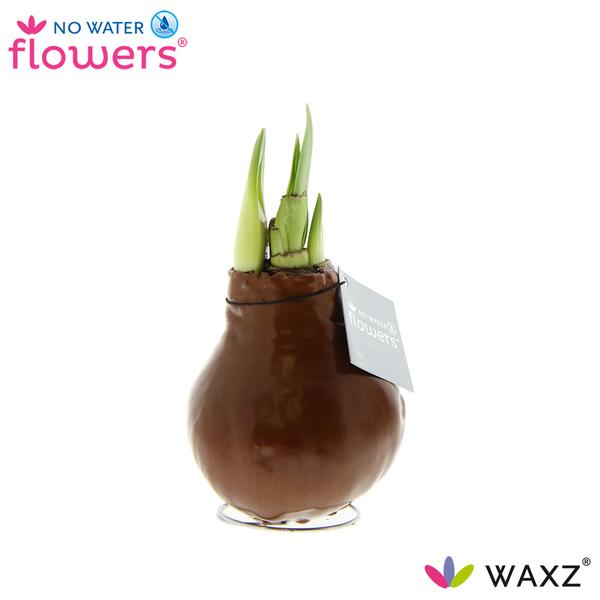 No Water Flowers Waxz® Metallic Copper – ↕15cm